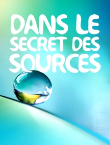 Dans le secret des sources