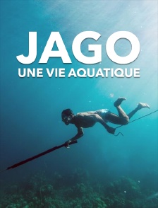 Jago : une vie aquatique