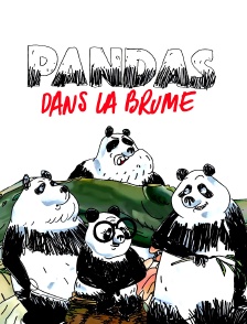 Pandas dans la brume