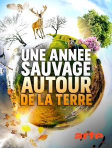 Arte - Une année sauvage autour de la Terre