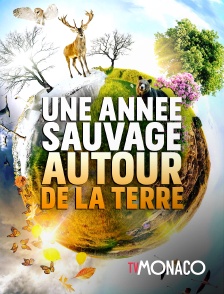 TV Monaco - Une année sauvage autour de la Terre
