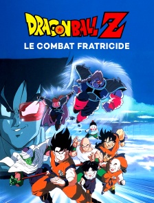 Dragon Ball Z : le combat fratricide