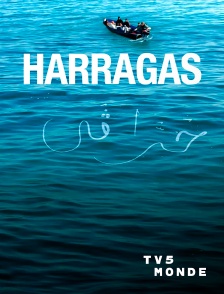 TV5MONDE - Harragas