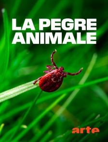 Arte - La pègre animale : La vie secrète des parasites