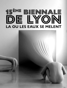 15ème biennale de Lyon : Là où les eaux se mêlent