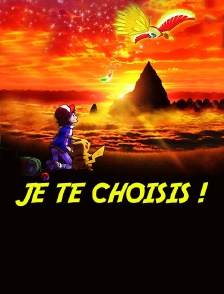 Pokémon 20 : Je te choisis