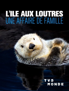 TV5MONDE - L'île aux loutres : une affaire de famille