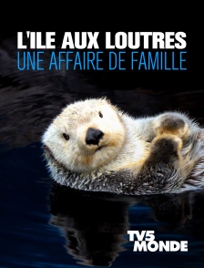 L'île aux loutres : une affaire de famille