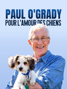 Paul O'Grady, pour l'amour des chiens
