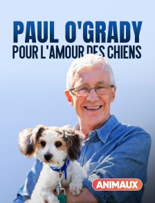 Paul O'Grady, pour l'amour des chiens