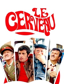 Le cerveau