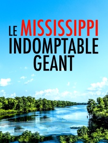 Le Mississippi, indomptable géant