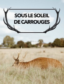 Sous le soleil de Carrouges