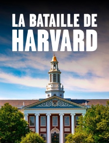 La bataille de Harvard