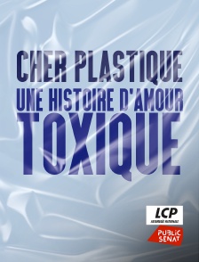 Cher plastique, une histoire d'amour toxique