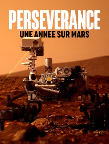 Perseverance, une année sur Mars
