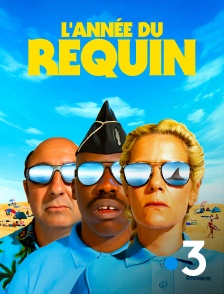 France 3 - L'année du requin