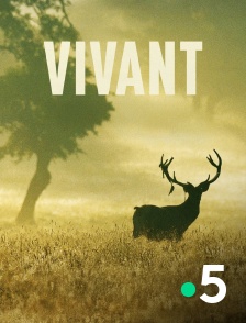 France 5 - Vivant
