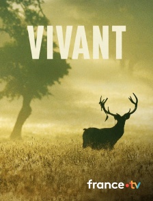 France.tv - Vivant