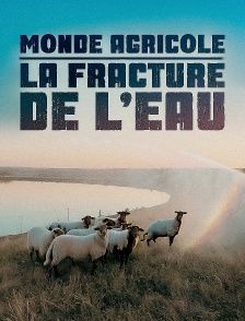 Monde agricole : la fracture de l'eau
