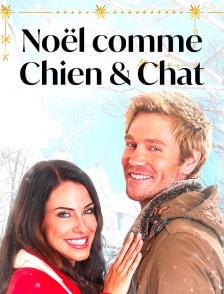 Noël comme chien et chat