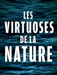 Les virtuoses de la nature