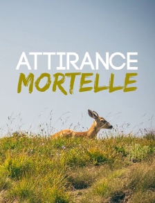 Attirance mortelle