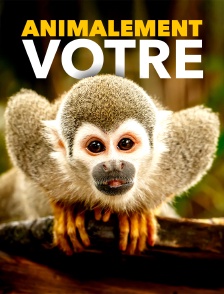Animalement vôtre