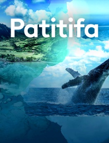 Patitifa