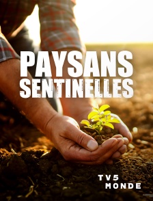 TV5MONDE - Paysans sentinelles