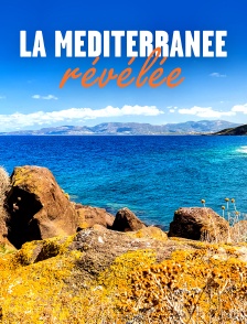 La Méditerranée révélée