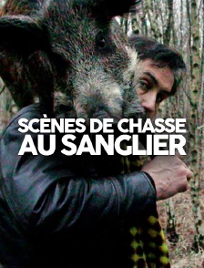 Scènes de chasse au sanglier