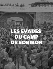 Les évadés du camp de Sobibor