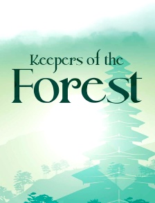 Keepers of the forest