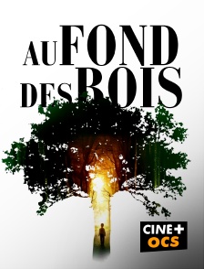 CINÉ Cinéma - Au fond des bois