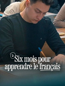 Six mois pour apprendre le français