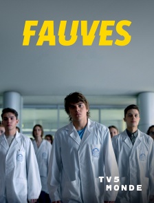 TV5MONDE - Fauves