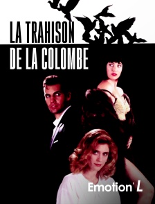 La trahison de la colombe