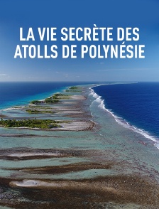 La vie secrète des atolls de Polynésie