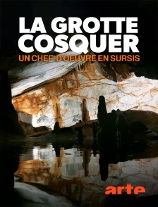 Arte - La grotte Cosquer : un chef-d'oeuvre en sursis