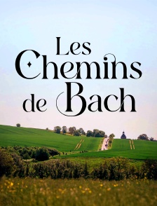 Les chemins de Bach