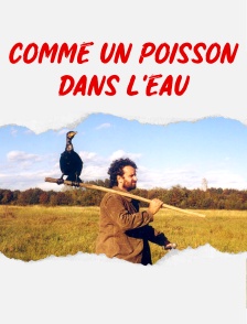 Comme un poisson dans l'eau