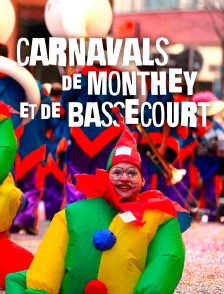 Les carnavals de Monthey et de Bassecourt