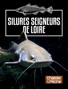 Chasse et pêche - Silures seigneurs de Loire