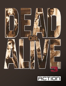ACTION - Dead or Alive 3