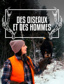 Des oiseaux et des hommes