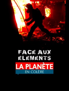 Face aux éléments : la planète en colère