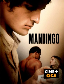 CINÉ Cinéma - Mandingo