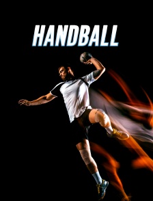 Handball - Finale de la Coupe de France féminine : Metz / Dijon