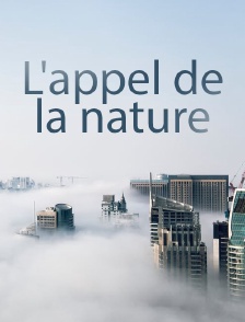L'appel de la nature